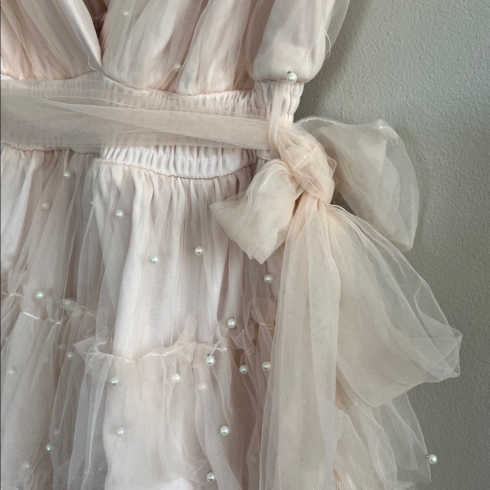 Mable Pearl Stud Swiss Dot Tulle Mini Dress in blush pink size large - Picture 7 of 16